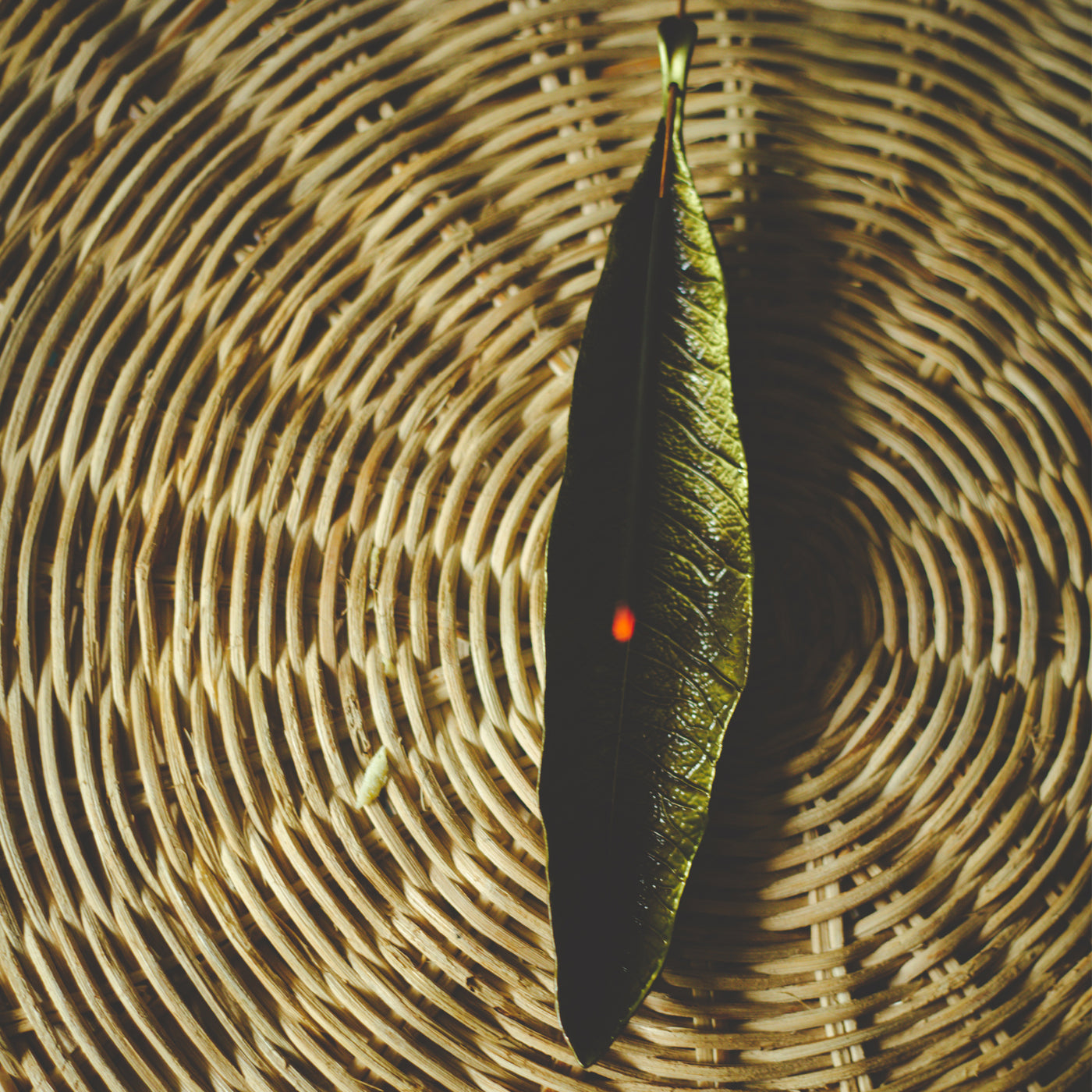 Green Leaf Incense Holder